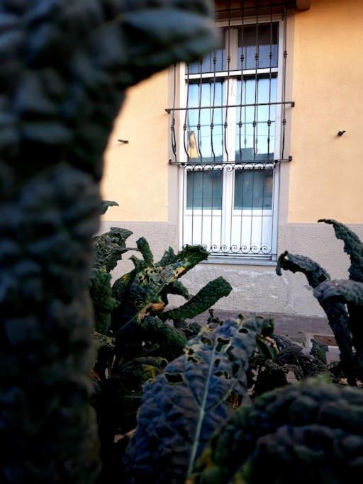 Ferienwohnung Casasassi Turin Exterior foto